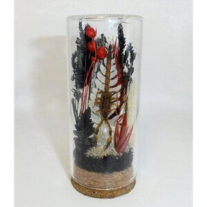 Scorpion Crystal Red Black Flowers Oddity Jar curiosity insect taxidermy diorama